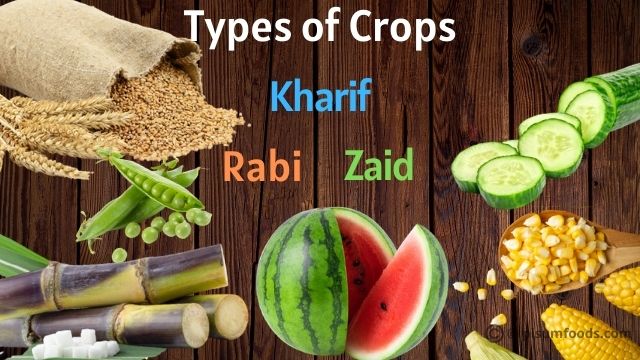 types of crops